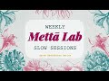 Metta lab weekly slow session  suttameditationseries  25 may 2024