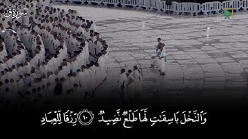 سورة ق الآيات من ٩ إلى ١١ الشيخ بندر بليلة