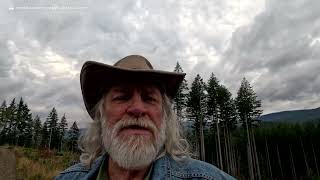 Mindfulness-Based Ecotherapy (MBE) Skill 4: Radical Acceptance
