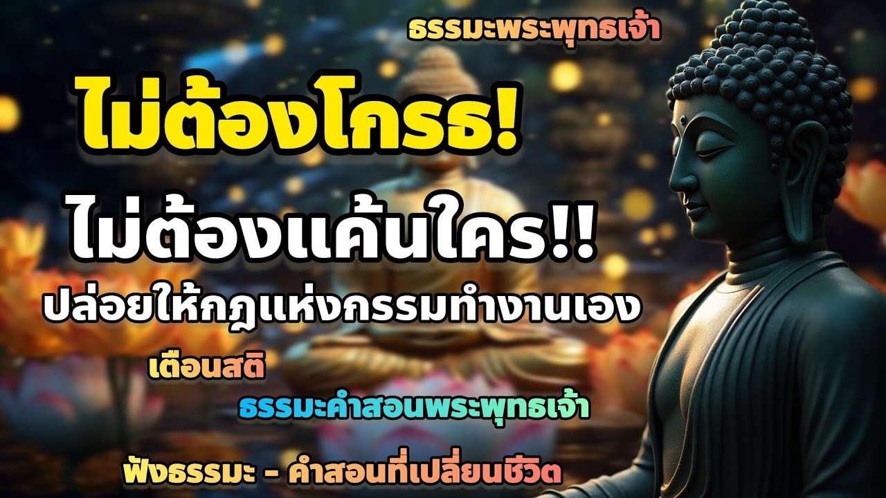 ไม่ต้องโกรธ…ไม่ต้องแค้นใคร ปล่อยให้กฎแห่งกรรมทำงานเอง แล้วใจคุณจะสงบอย่างแท้จริง