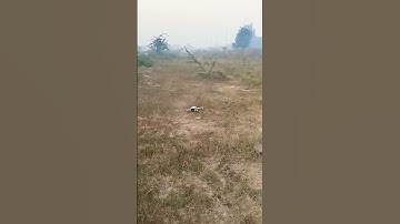 Drone Crashed 😥 #drone #crash #homemade #dronevideo  #shortvideo #ytshorts #yt
