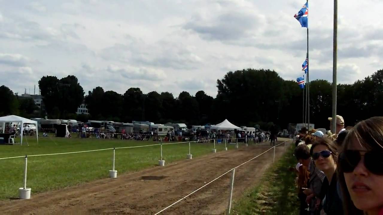 Isländer Rennpass - Wettbewerb Equitana 2010 Video 1