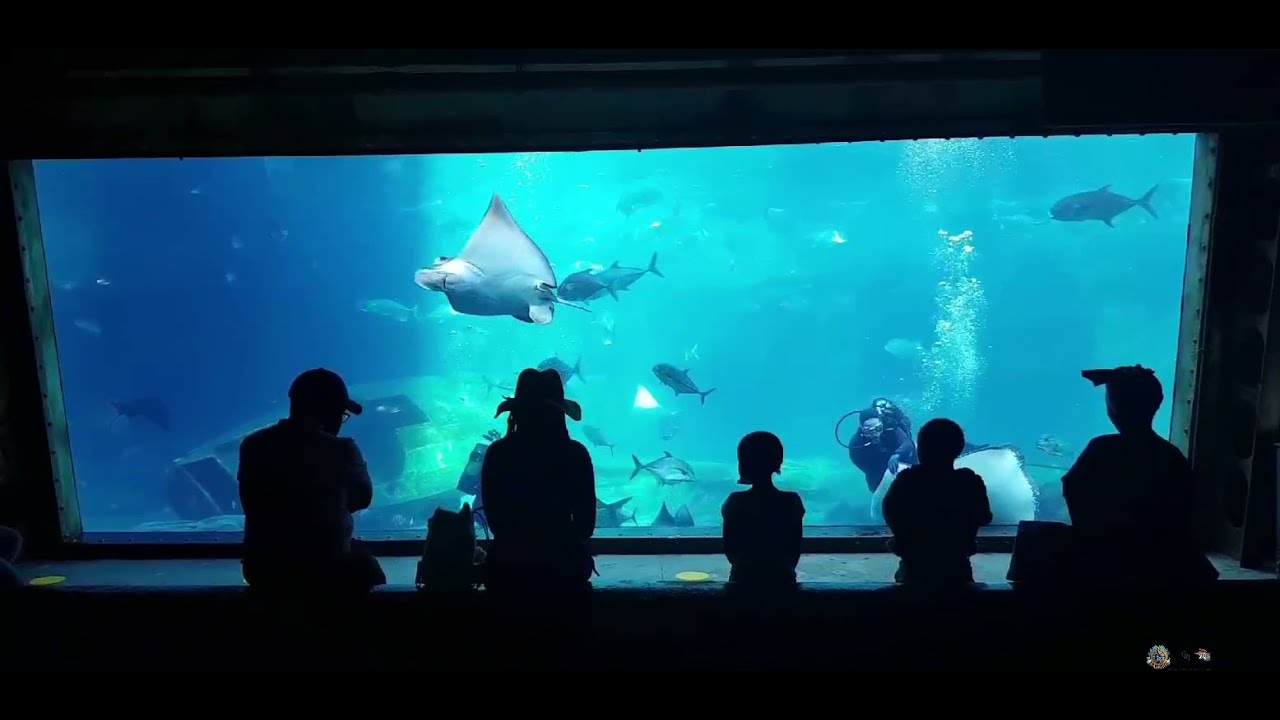 marine aquarium expo 2016 marine aquarium expo 2016