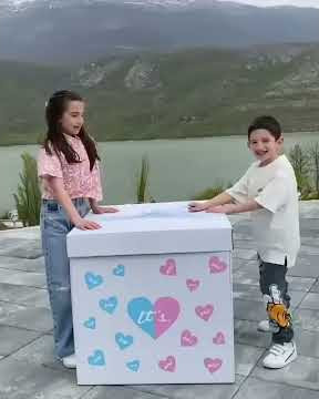 Gender Reveal Party Ideas