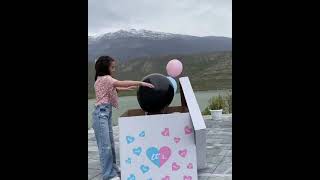 Gender Reveal Party Ideas screenshot 4