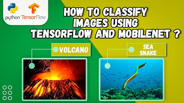 Transfer Learning for Image Classification using Tensorflow | Multi Class Classification Models