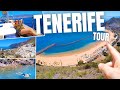 Why You SHOULD Visit Tenerife! Island Tour, Canary Islands