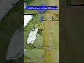 Drone Hits Israeli Border Node