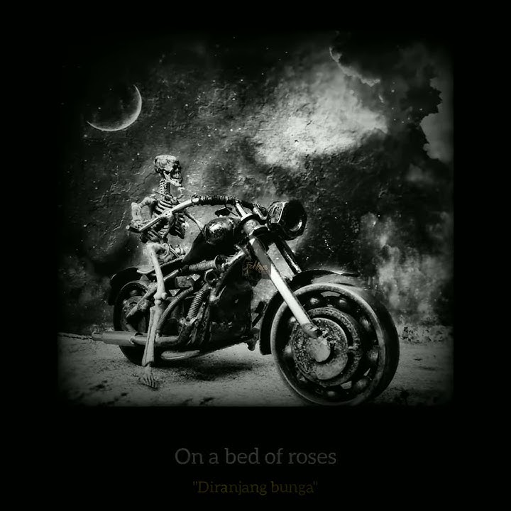 Bon Jovi - Bed Of Roses | Status WA | Sedih Galau