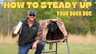 Retriever Training STEADINESSTHE Single MOST Important Discipline to Teach Your Retriever? Video 7