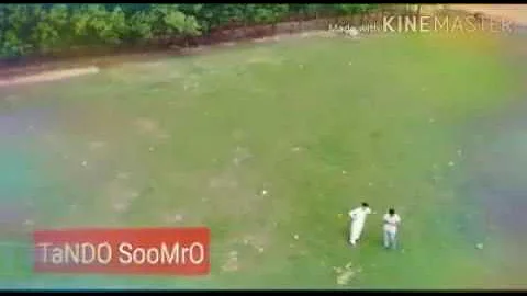 🌴🌴☀🌴🌴 The beauty of my village Tando soomro 🌴🌴☀❤🌴🌴