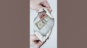 Does Money Grow on Trees? 🌳💵 591 #shorts #viral #shortsvideo #shortsfeed #shortsviral