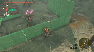 boko clobbering arena#botw