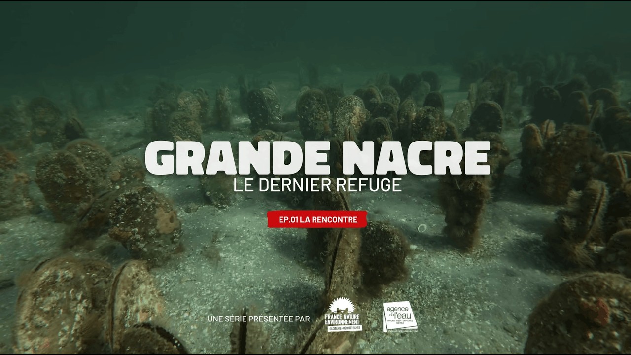 GRANDE NACRE Le Dernier Refuge - Episode 1