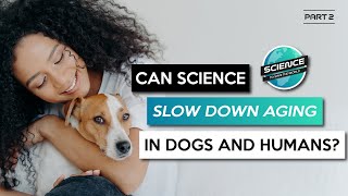 Could Science Slow Down Aging In Dogs and Humans?