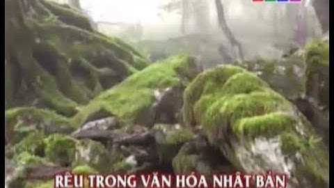 Nét đẹp Nhật Bản - Rêu trong văn hóa Nhật Bản || Khám Phá Nhật Bản