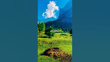 دانلود ویدیو و آهنگ از طریق چنل تلگرام در شرح زیر موزیک Love Music معین طبیعت طبیعتگردی Like 