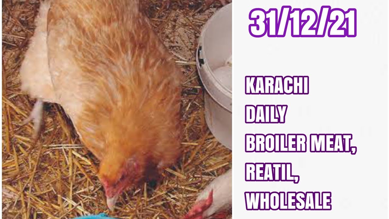 KARACHI 🏠 31 DECEMBER 2021 CHICKEN 🍗, FARM RATE🐔🐔, BROILER