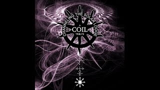 God Module - Titan Arch (Coil cover) [Industrial]