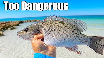 Too Dangerous to Fish? (Live Shrimp Jetty & Shore Fishing Florida)