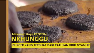 Burger Nyamuk, Nkhunggu Burger Afrika Yang Terbuat Dari Jutaan Ekor Nyamuk