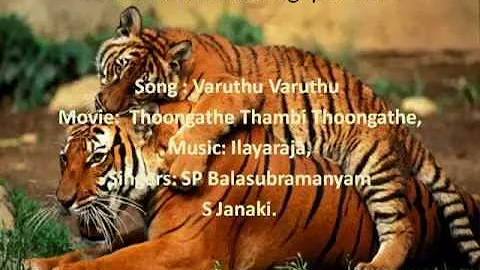 Varuthu Varuthu Tamil Karaoke For Male Singers