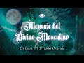 💌 MENSAJE DEL DIVINO MASCULINO 💕 Almas/Llamas Gemelas 🌙 ✨ La Casa del Druida Oráculo Tarot