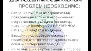 Как жить с собаками в городе? - концепция урегулирования "собачьего вопроса".