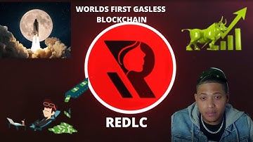 THE WORLDS FIRST GASLESS BLOCK CHAIN. REDLIGHT CHAIN. SHOULD YOU INVEST IN REDLIGHT CHAIN NOW???????