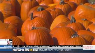4 P And 5 P Pumpkin Patch With Drone Usage