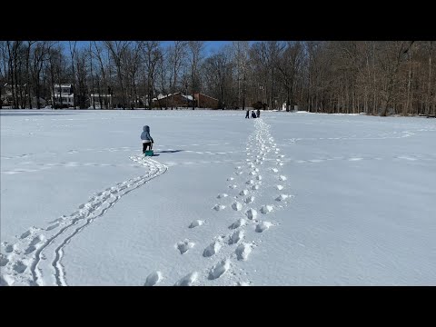 თოვლში თამაში
