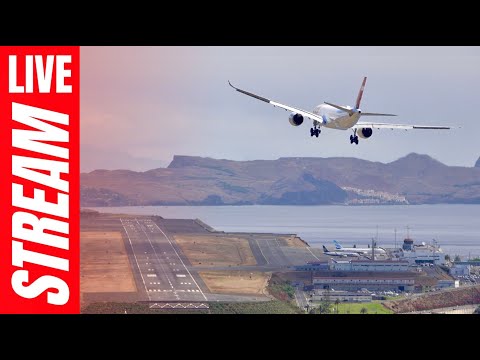 馃敶 Madeira Airport LIVE WINDY Plane Spotting