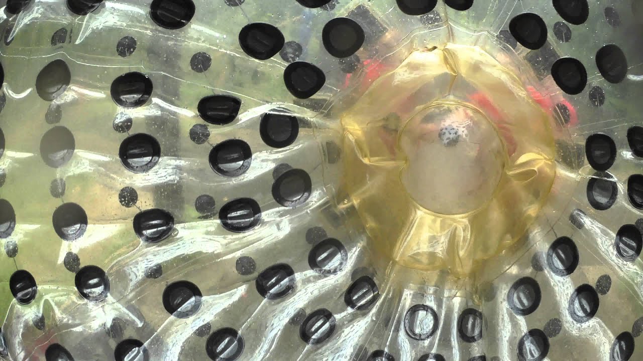 Hydra zorbing in 4K - Panasonic HX-A500