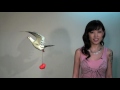 Li Anne: Chinese Valentine