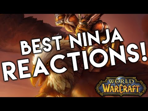 5 BEST Ninja Loot Reactions in World of Warcraft