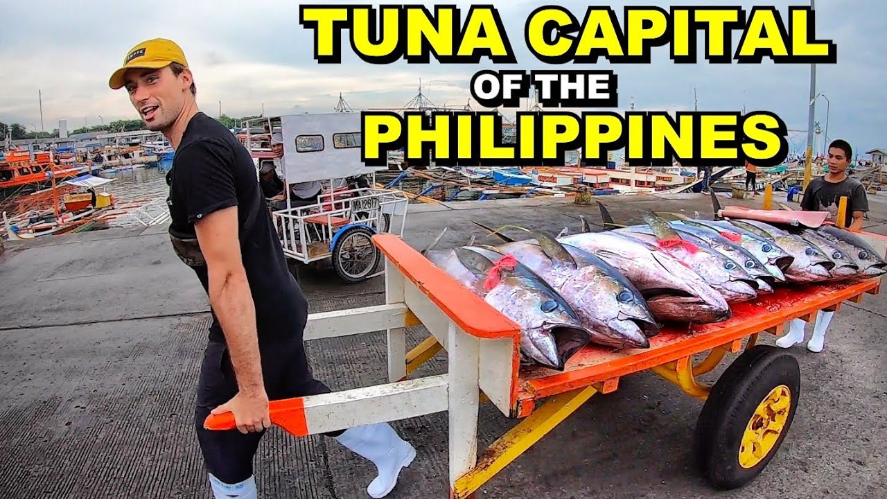 BIGGEST GIANT TUNA FISH MARKET IN THE PHILIPPINES Foreigner Works As biggest-giant-tuna-fish-market-in-the-philippines-foreigner-works-as
