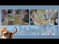 Catit Playground 2023  The Ultimate Cat Experience | Live from Toronto, Canada