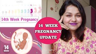 Week 14 Pregnancy Update | Second Trimester Symptoms | What Happens in 14 weeks of Pregnancy | Diet