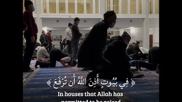 آيات من سورة النور  - بصوت د. فراج خليل الصعيدي #قران_كريم #قرآن #fyp #راحة_نفسيه 