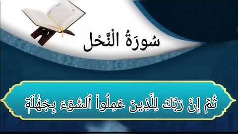 اواخر سورة النحل من الأية رقم(111-128) بصوت القارئ هزاع البلوشي