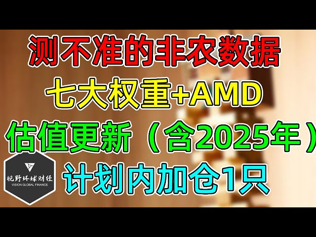 美股 计划内加仓1只股票！七大权重+AMD，最新估值更新（含2025年）！非农爆炸了！