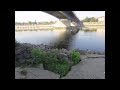 Вислянские эпизоды