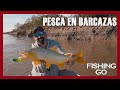 Volvemos a #PESCAR DORADOS después de 90 días! - FISHING GO