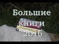 Прочитанное - Юзефович, Улицкая, Водолазкин.