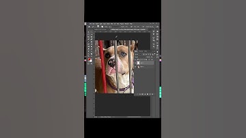 Remove Fence with 3 Simple Steps in Photoshop!