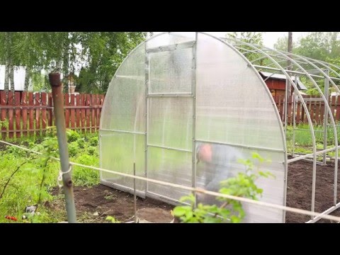 Смотреть теплицы Смотреть теплицы