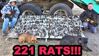221 Rats SMASHED Under Semitrailer!