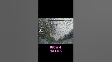 Got a Betafpv Meteor 65. it flies great, can take a hit, but....buuuuttttt the vtx sucks. #igow4