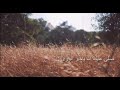 صلي عليك الله يا خير الوري