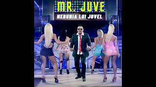 Nebunia Lui Juvel